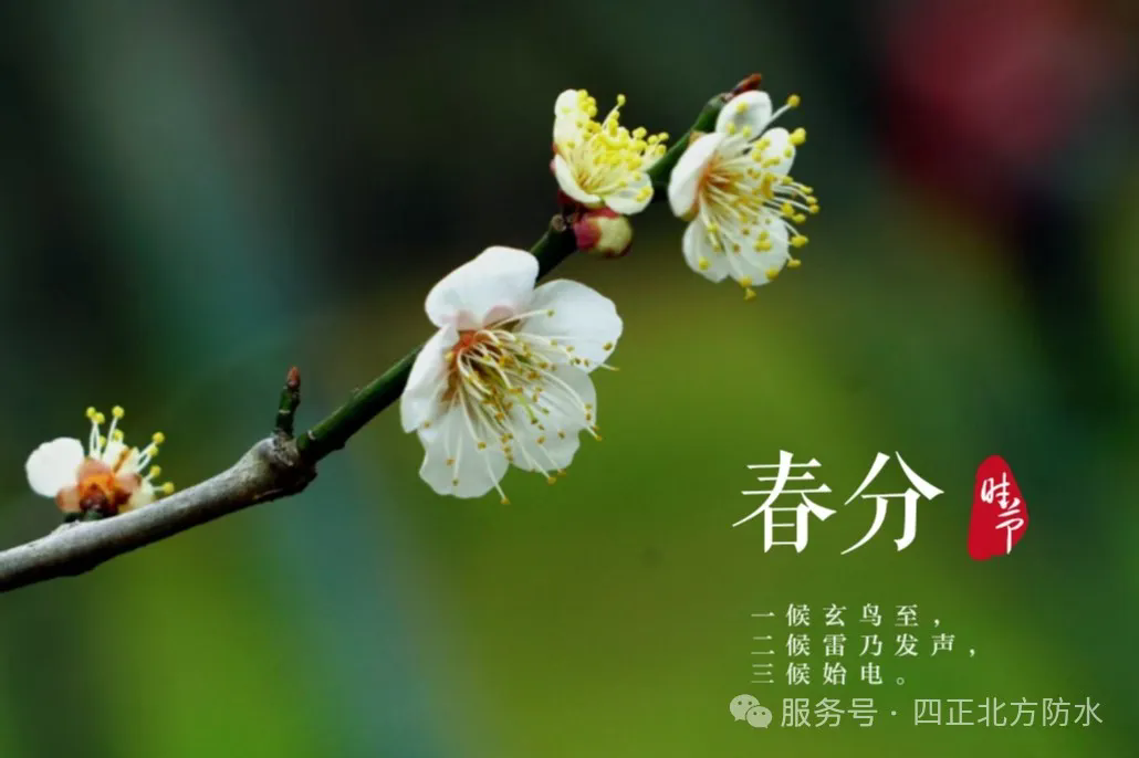 174417010349689306ci.png 6401.webp.png